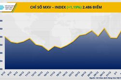Thị trường hàng hóa phân hóa mạnh, MXV-Index phá đỉnh ba năm