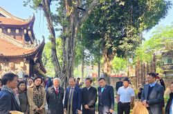 Khai mạc trưng bày 'Ngựa về phố' tại Văn Miếu - Quốc Tử Giám