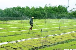Thời tiết Nghệ An ngày 8/1: Trời rét, đêm và sáng rét đậm, rét hại