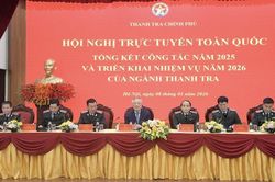 Thanh tra Chính phủ phát hiện vi phạm kinh tế hơn 256 nghìn tỷ đồng