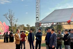 Lễ hội Hoa anh đào xã Mường Phăng sẵn sàng đón du khách