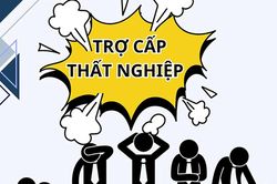 6 trường hợp được xác định đang đóng bảo hiểm thất nghiệp