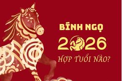 Năm Bính Ngọ 2026 hợp tuổi gì?