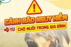 Trẻ 3 tuổi bị chó nhà cắn nguy kịch, cảnh báo nguy hiểm tiềm ẩn từ vật nuôi
