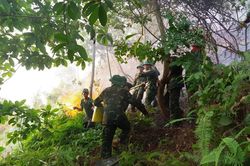 Kịp thời dập tắt đám cháy rừng trên địa bàn phường Quang Trung