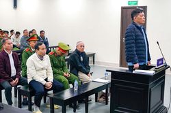 Hai cựu lãnh đạo Ban Quản lý dự án Đắk Lắk nhận hối lộ tiền tỷ lĩnh 8 năm tù