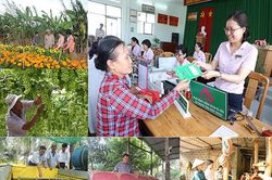 Quy định về tổ chức, hoạt động của Ngân hàng Chính sách xã hội