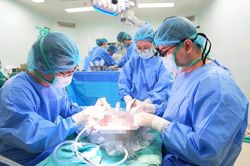 Thúc đẩy hệ thống hiến, ghép tạng bền vững tại Việt Nam