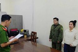Đà Nẵng: Triệt phá đường dây buôn lậu tôm hùm giống qua đường hàng không với quy mô đặc biệt lớn