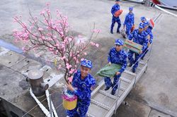 Trực Tết ngoài đảo xa