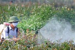 Tăng tỷ lệ thuốc sinh học trong danh mục thuốc bảo vệ thực vật mới