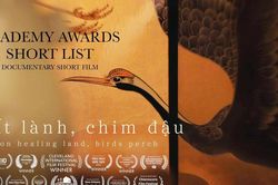 Phim tài liệu ngắn của đạo diễn gốc Việt vào danh sách rút gọn Oscar