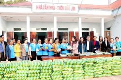 Ra mắt 4 mô hình kinh tế Tổ hợp tác do phụ nữ tham gia quản lý