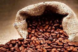 Giá cà phê hôm nay 12/1: Giảm nhẹ xuống 97.200 đồng/kg, thị trường tiếp tục găm hàng