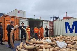 Hải quan triệt phá nhiều điểm nóng buôn lậu
