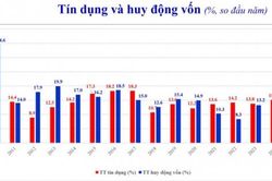 Phát tín hiệu hạ nhịp tín dụng trước áp lực lãi suất và thanh khoản