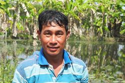 Hiệu quả mô hình nuôi ốc bươu đen