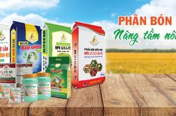 Phân bón Miền Nam đẩy mạnh sản xuất kinh doanh, lập thành tích chào mừng 50 năm thành lập