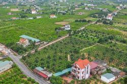 Gỡ 'điểm nghẽn' dự án, đất đai để khơi thông nguồn lực tăng trưởng