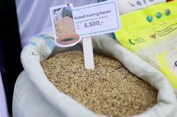 Indonesia đặt mục tiêu duy trì dự trữ 4 triệu tấn gạo đến năm 2029