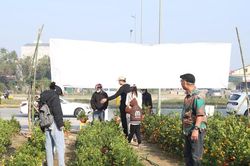 Quất, bưởi 'siêu quả', hoa tết nhộn nhịp xuống phố