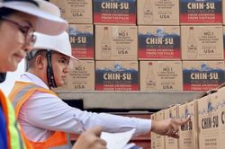 VCCI tán thành thành lập Hiệp hội doanh nghiệp Việt Nam ở nước ngoài