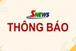 Thông báo công nhận kết quả xét tuyển vào viên chức tại Ban Quản lý dự án Đầu tư xây dựng Thuận Châu