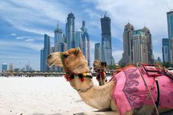 U23 Việt Nam gặp UAE ở tứ kết: Điều thú vị về đất nước này