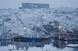 Greenland sống nhờ trợ cấp và tôm xuất khẩu