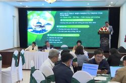 Tập trung thực hiện hiệu quả Đề án 'Xây dựng Đà Nẵng - thành phố môi trường'