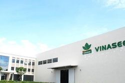 Vinaseed (NSC): Chi hơn 35 tỷ đồng trả cổ tức tiền mặt giữa lúc biên lợi nhuận rơi đáy, tồn kho và nợ vay cùng tăng vọt
