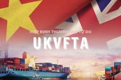 Thủ tướng chỉ định các cơ quan đầu mối triển khai thực hiện Hiệp định UKVFTA