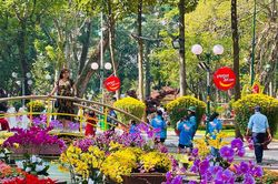 Hội hoa Tao Đàn xuân Bính Ngọ lần thứ 46 diễn ra trong 12 ngày tại TP.HCM
