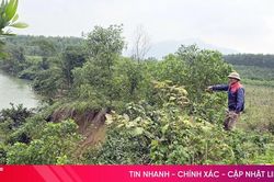 Nhiều diện tích đất sản xuất ven sông Rào Trổ bị sạt lở