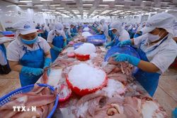 Chỉ định các cơ quan đầu mối triển khai 3 hiệp định thương mại