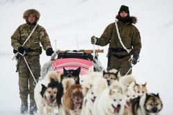 Greenland: Đội tuần tra Sirius và sứ mệnh đặc nhiệm xe chó kéo duy nhất thế giới