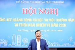 Đà Nẵng phát triển nông nghiệp sinh thái, hữu cơ, ứng dụng công nghệ cao