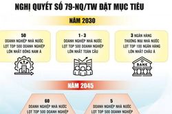 Tái định vị vai trò của kinh tế nhà nước theo hướng dẫn dắt, tiên phong