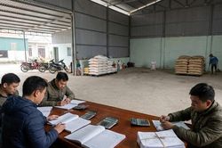 Giá tiêu hôm nay 20/1: Đà giảm lan rộng, thị trường 'nghỉ Tết' sớm