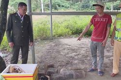 Đa dạng hình thức tuyên truyền bảo vệ động vật hoang dã