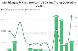 Xuất nhập khẩu Việt Nam – Trung Quốc lập kỷ lục, mặt hàng nào có kim ngạch lớn nhất?