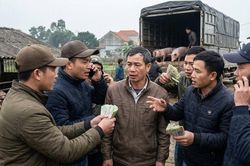 Giá heo hơi hôm nay 22/1: Dự báo tăng 'phi mã' dịp Tết