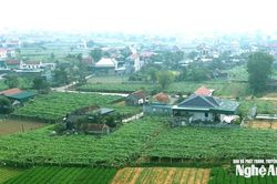 Thời tiết Nghệ An ngày 22/1: Trời rét, vùng núi có nơi rét đậm, đêm và sáng sớm rét hại