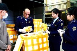 Thái Nguyên: Phát hiện lượng lớn chân gà rút xương và gà ủ muối không rõ nguồn gốc