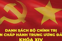Infographic: Bộ Chính trị Ban Chấp hành Trung ương khóa XIV