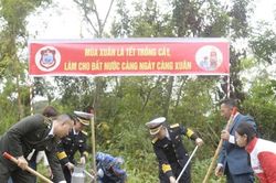 Quảng Ninh: Rộn ràng trong ngày hội trồng cây đầu xuân mới