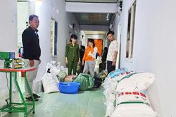 Gia Lai: Người phụ nữ thuê phòng trọ sản xuất hàng trăm kg hạt nêm giả bán kiếm lời