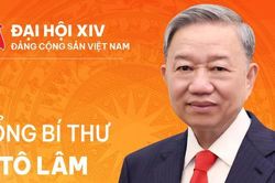 Infographic: Tiểu sử Tổng Bí thư Tô Lâm