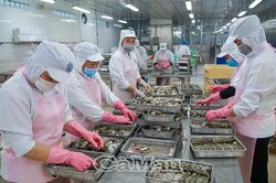 Quyết tâm giữ đà tăng trưởng