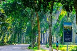 Đầu tư đô thị xanh: Nhà nước bảo lãnh tín dụng, miễn giảm thuế, ưu tiên quỹ đất